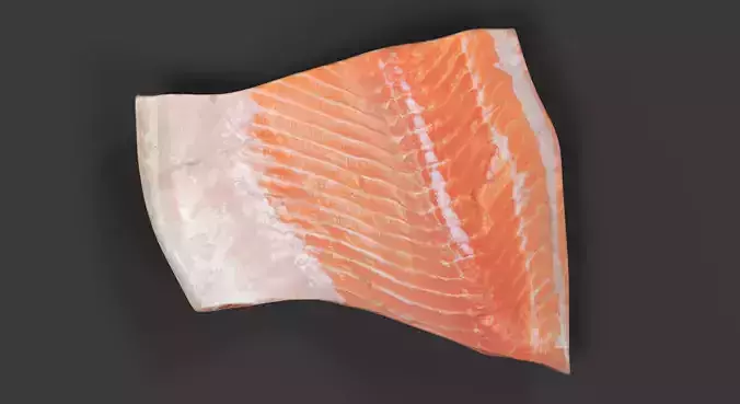 Salmon Fillet - Raw Fish Steak 3D model 6
