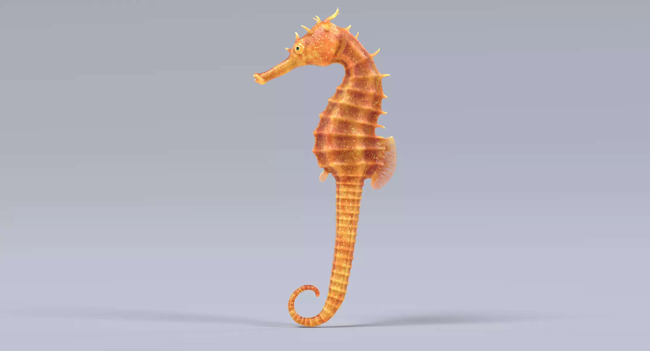 Long-Snouted Seahorse - Realistic Marine Animal 3D model