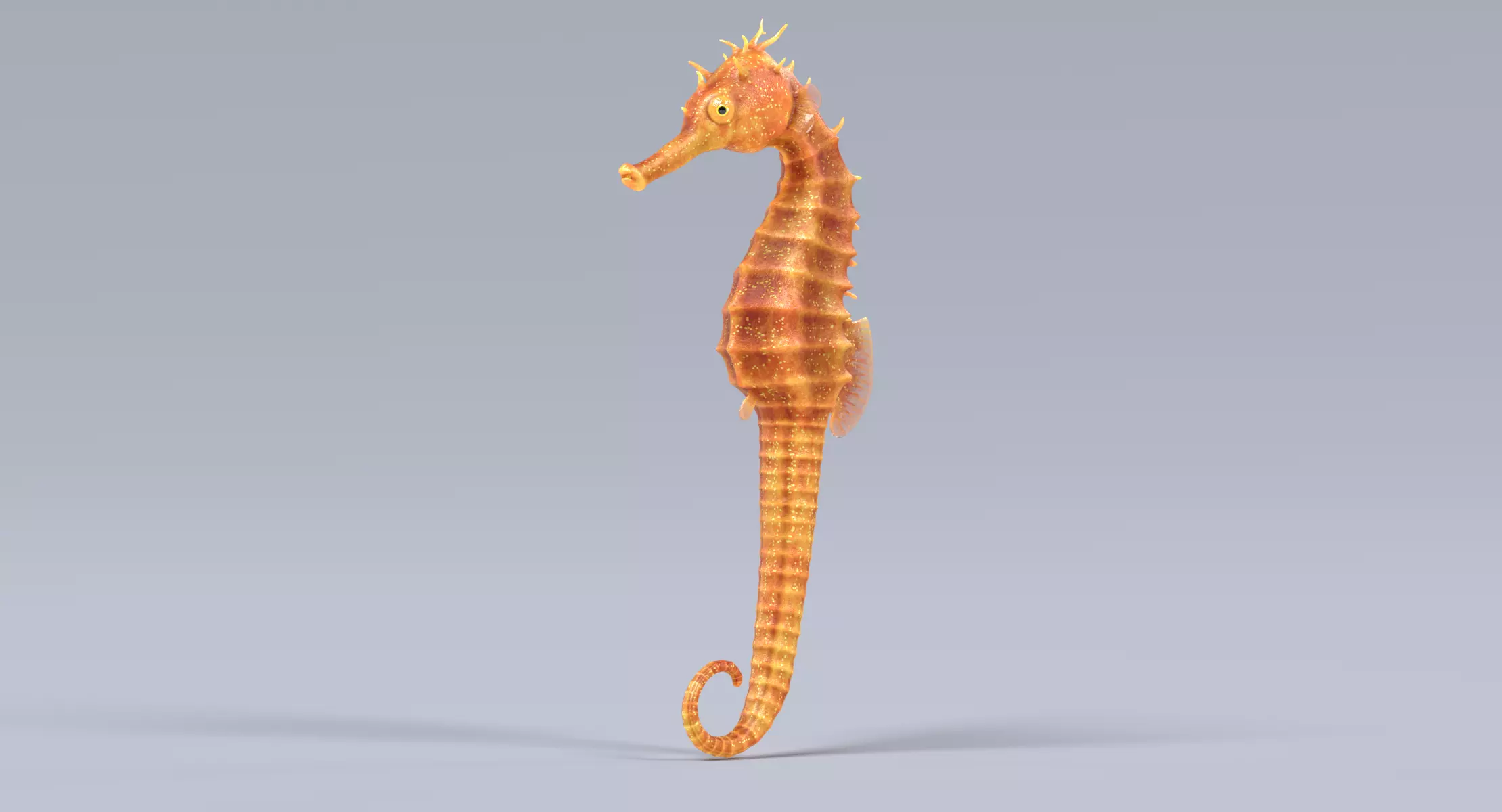 Long-Snouted Seahorse - Realistic Marine Animal Rigged 3D model