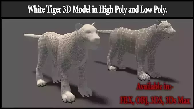 White Tiger High Poly and Low Poly