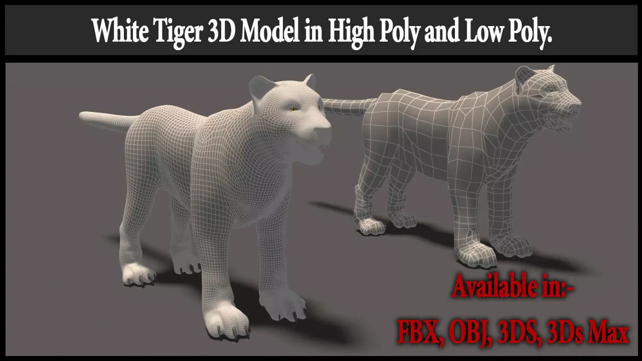 White Tiger High Poly and Low Poly Low-poly 3D model_0