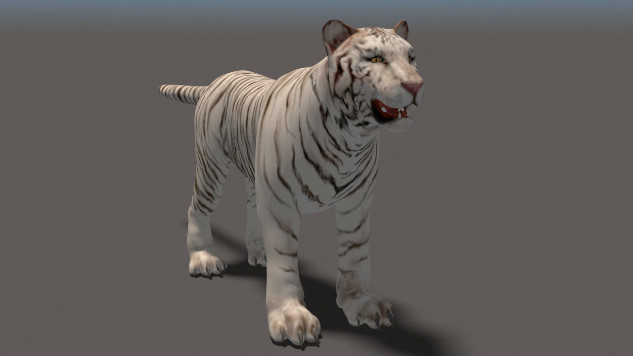 White Tiger High Poly and Low Poly Low-poly 3D model_1