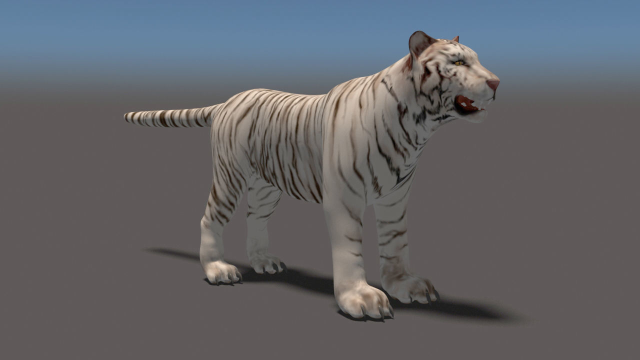 White Tiger High Poly and Low Poly Low-poly 3D model_2