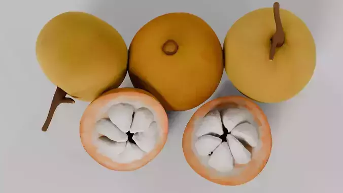 Kecapi Fruits 3D model 5