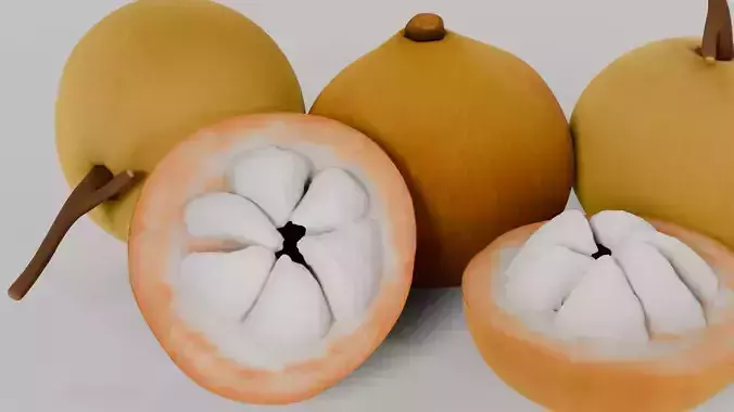 Kecapi Fruits 3D model 4