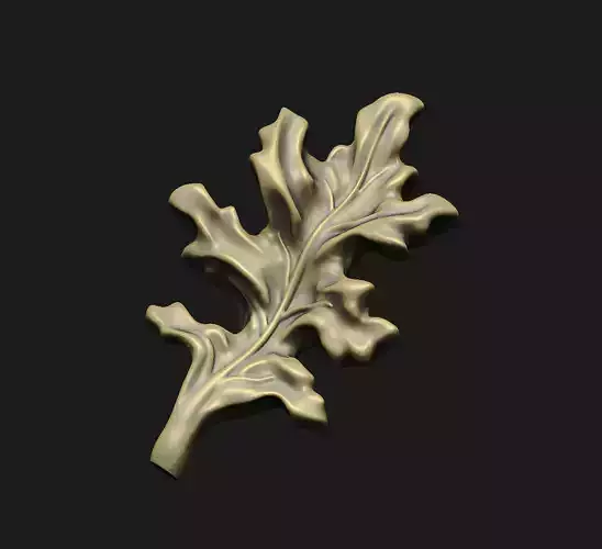 Red-oak leaf detail plant branches autumn winter gift   