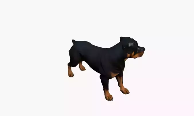 Rottweiler Dog 3D Model Realistic Guard Breed