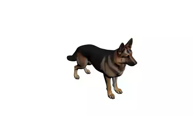 German Shepherd Dog 3D Model Realistic Working Breed