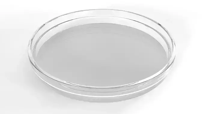 Petri Dish PBR Low-poly 3D model