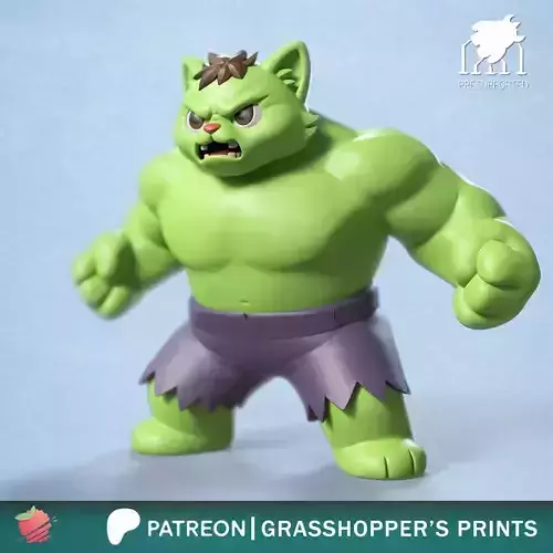 Hulkat aka Hulk the Cat