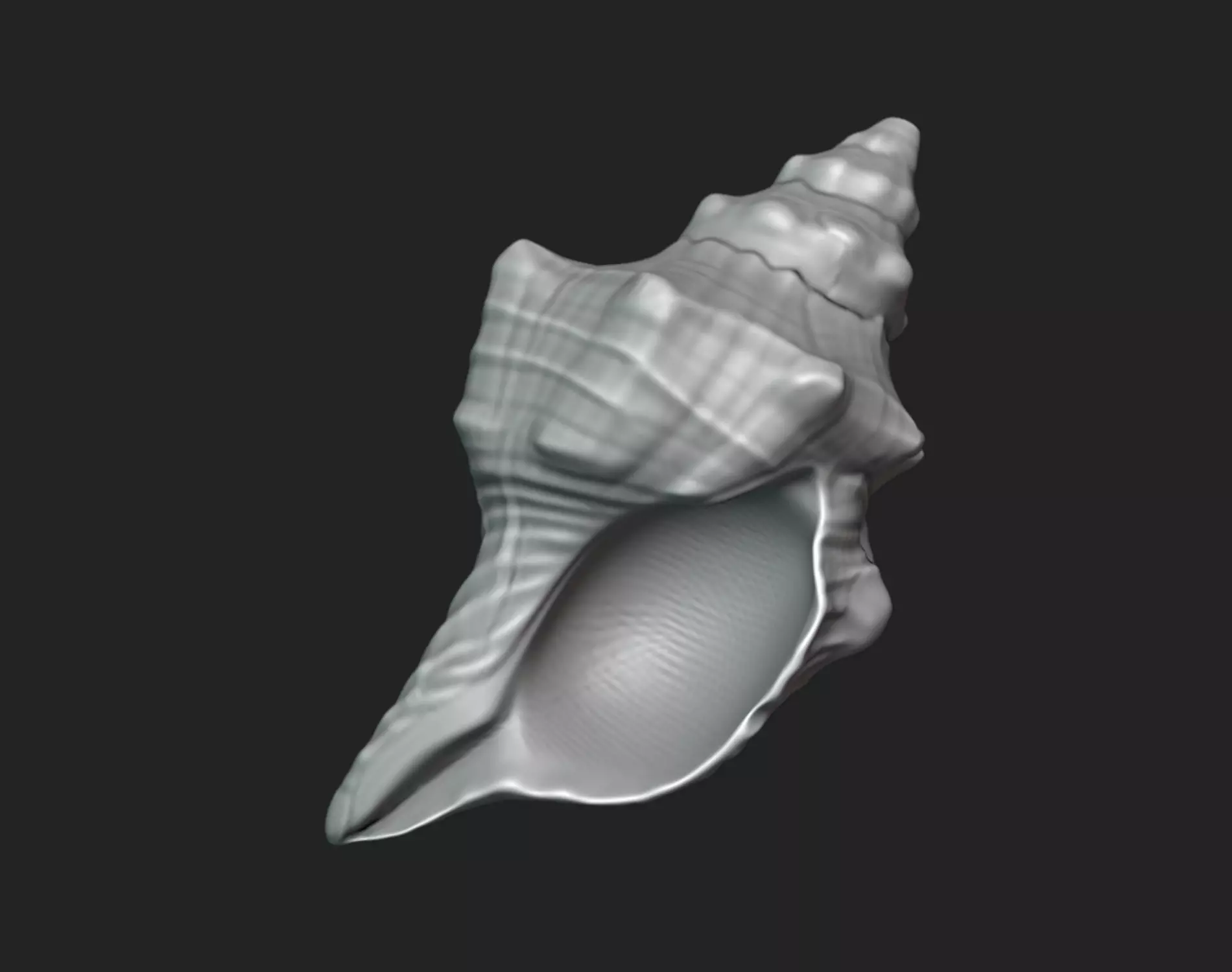 Trapezium Seashell - Detailed STL for 3D Printing 3D print model