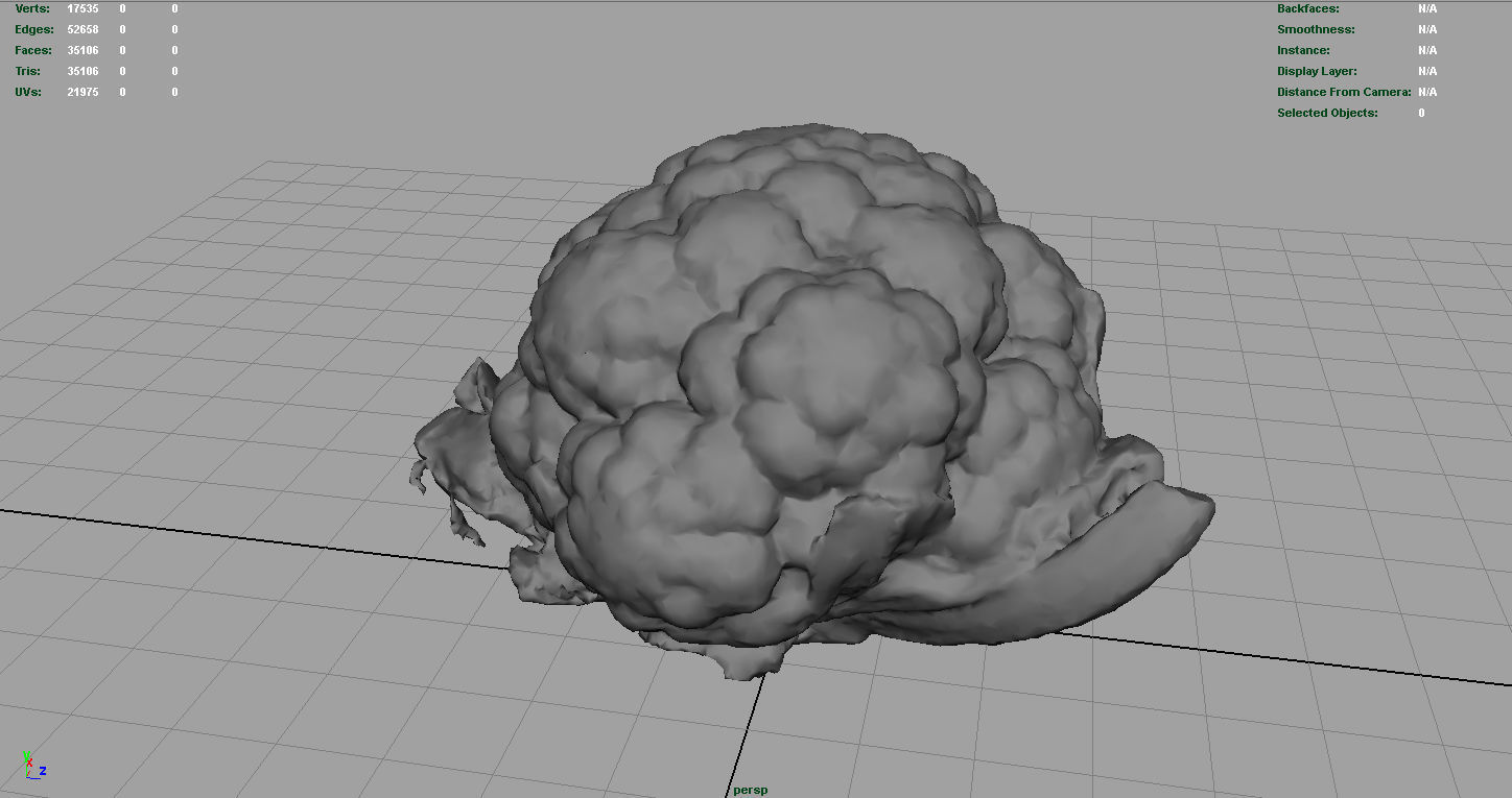 Cauliflower Low-poly 3D model_5