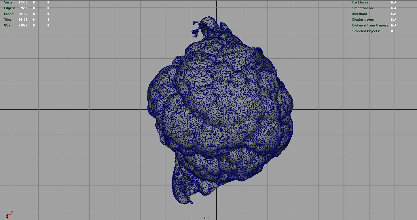 Cauliflower Low-poly 3D model_11