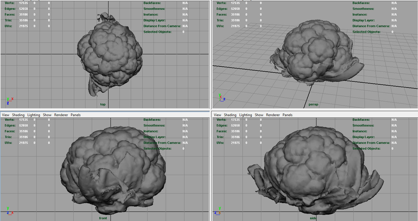 Cauliflower Low-poly 3D model_8