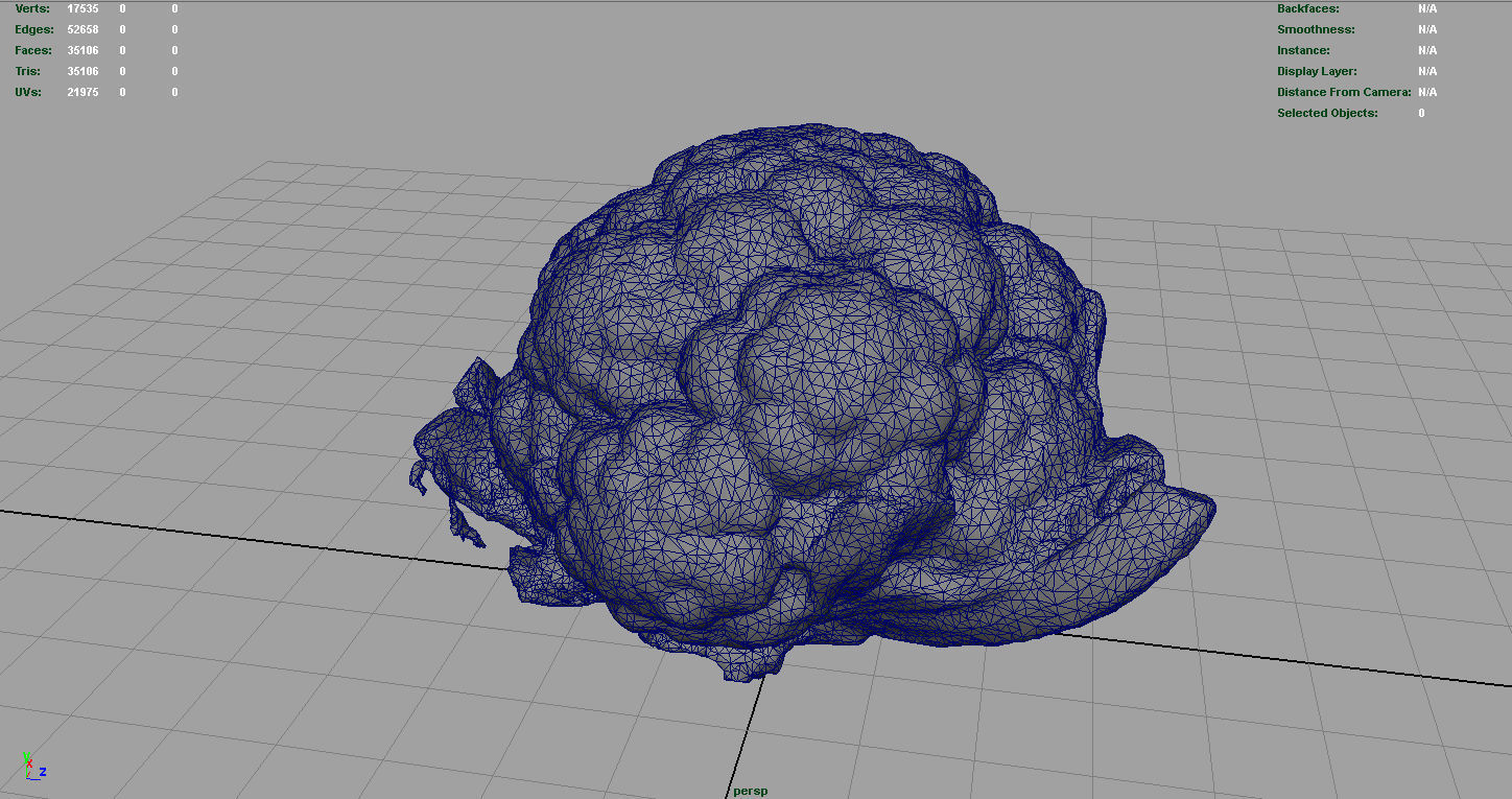 Cauliflower Low-poly 3D model_7