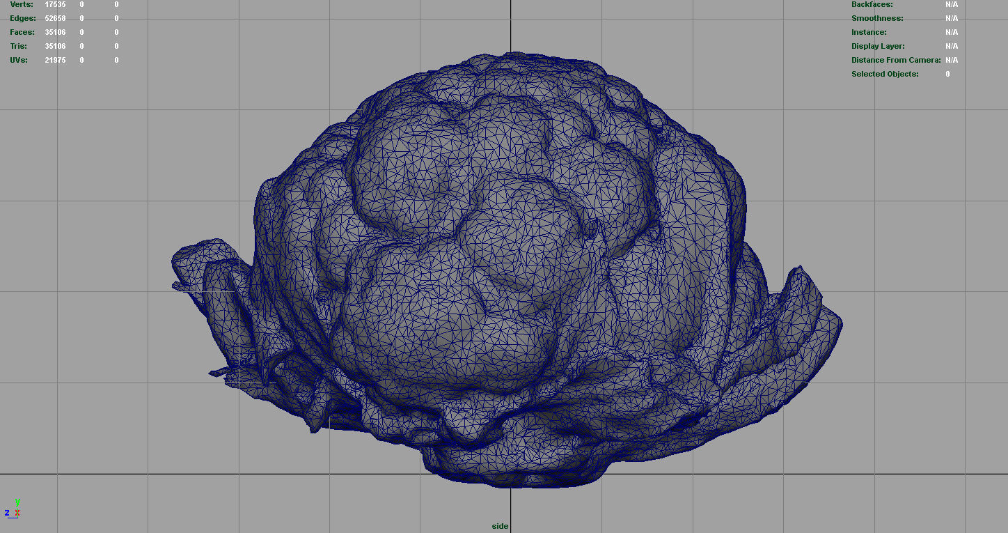 Cauliflower Low-poly 3D model_12