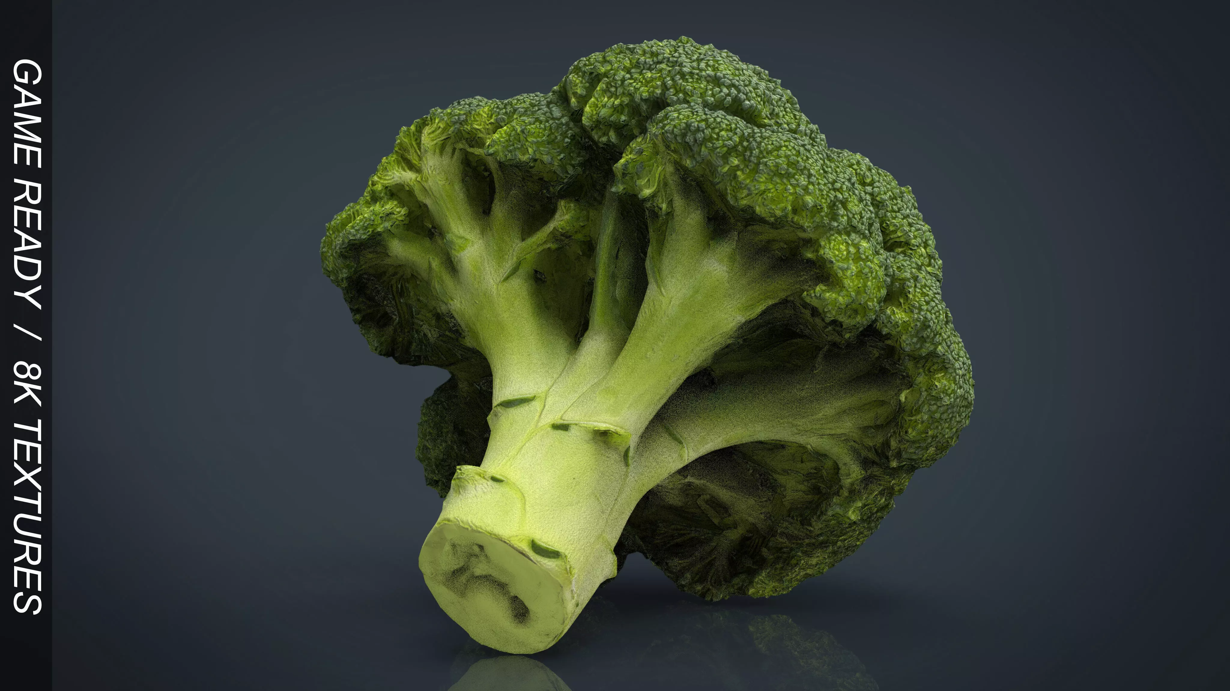 Broccoli   High and Low Poly blend 4 4 Included Low-poly 3D model_0