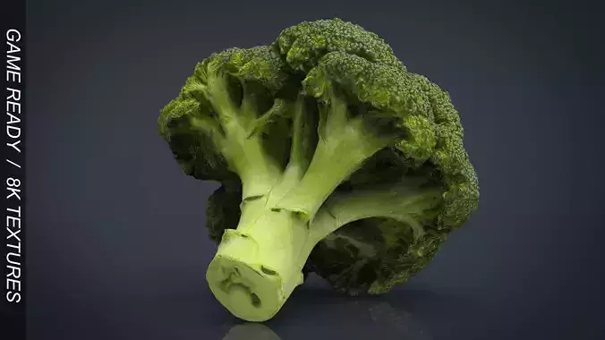 Broccoli   High and Low Poly blend 4 4 Included Low-poly 3D model