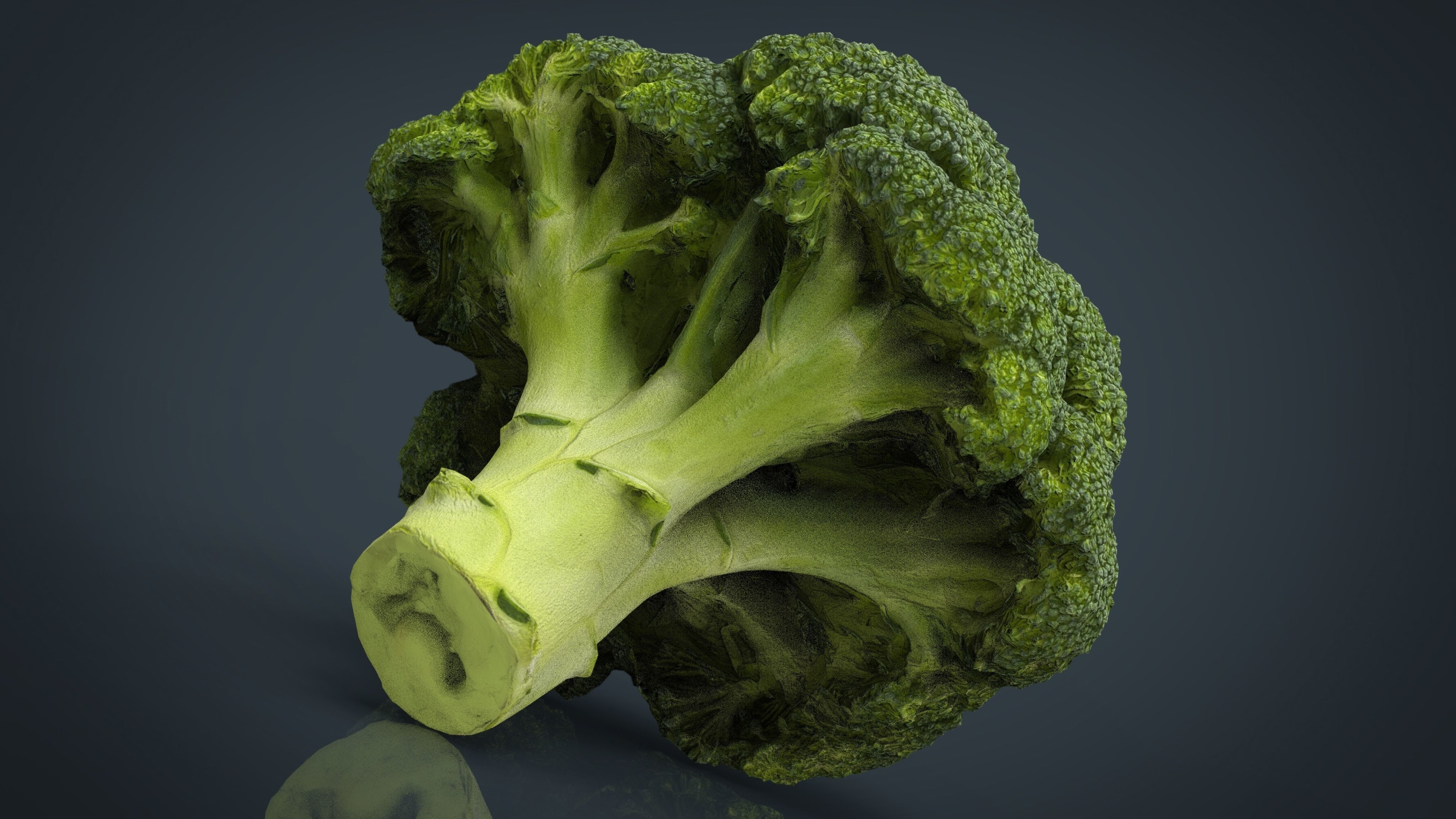 Broccoli   High and Low Poly blend 4 4 Included Low-poly 3D model_3