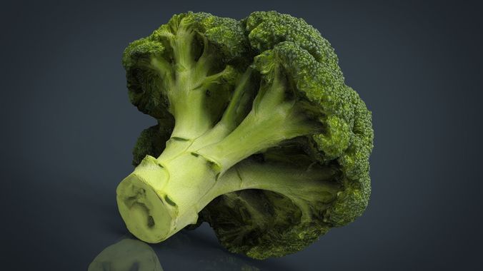Broccoli   High and Low Poly blend 4 4 Included Low-poly 3D model 3