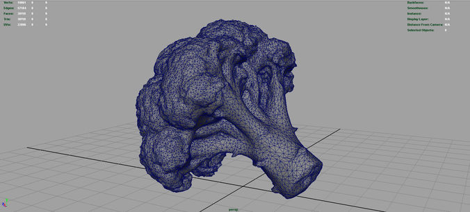 Broccoli   High and Low Poly blend 4 4 Included Low-poly 3D model 6