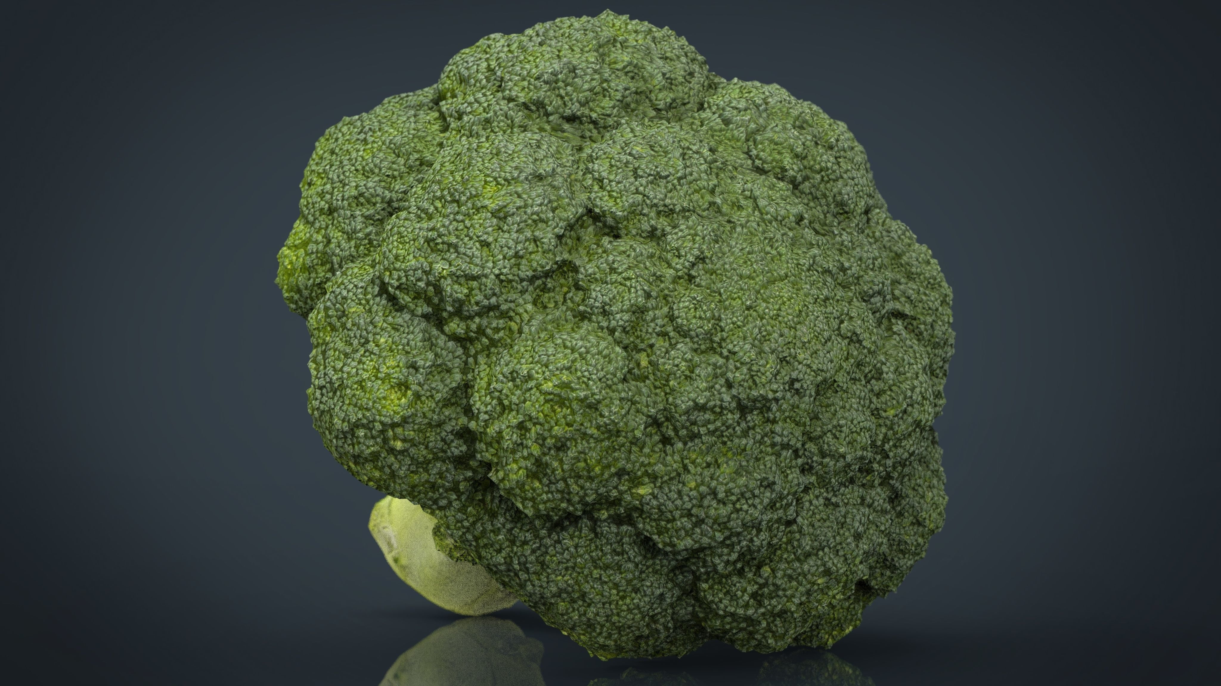 Broccoli   High and Low Poly blend 4 4 Included Low-poly 3D model_7