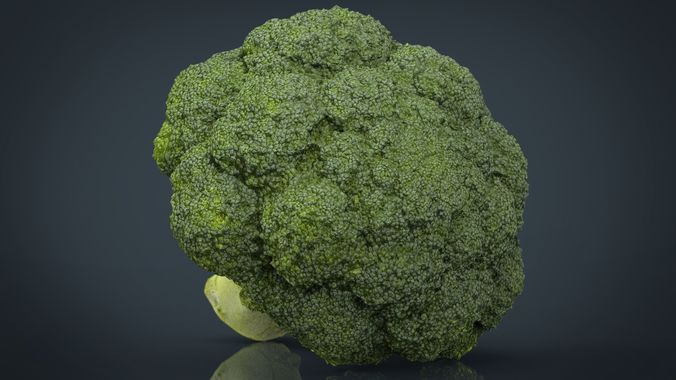 Broccoli   High and Low Poly blend 4 4 Included Low-poly 3D model 7