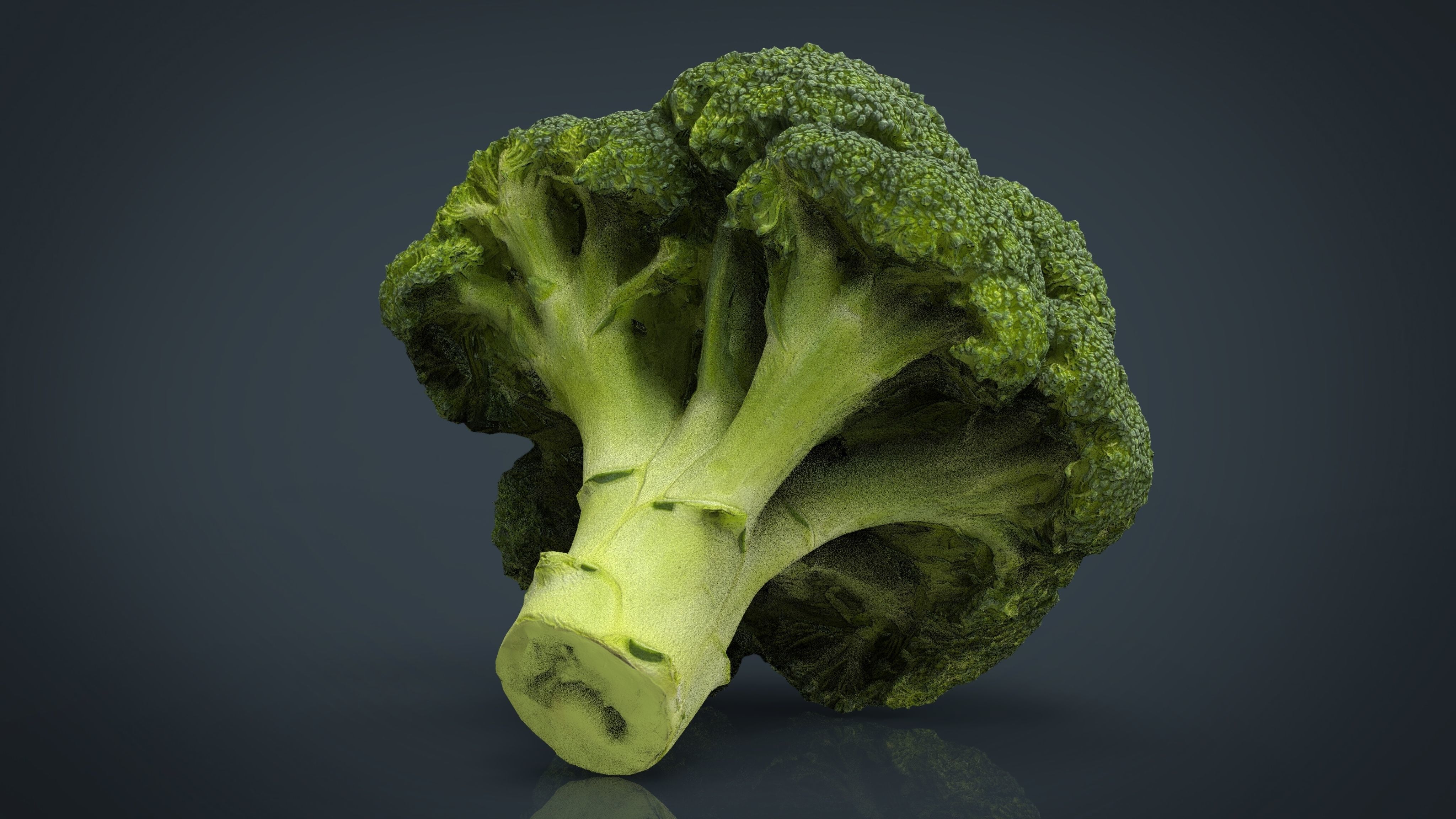Broccoli   High and Low Poly blend 4 4 Included Low-poly 3D model_2