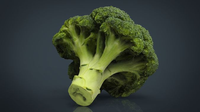 Broccoli   High and Low Poly blend 4 4 Included Low-poly 3D model 2