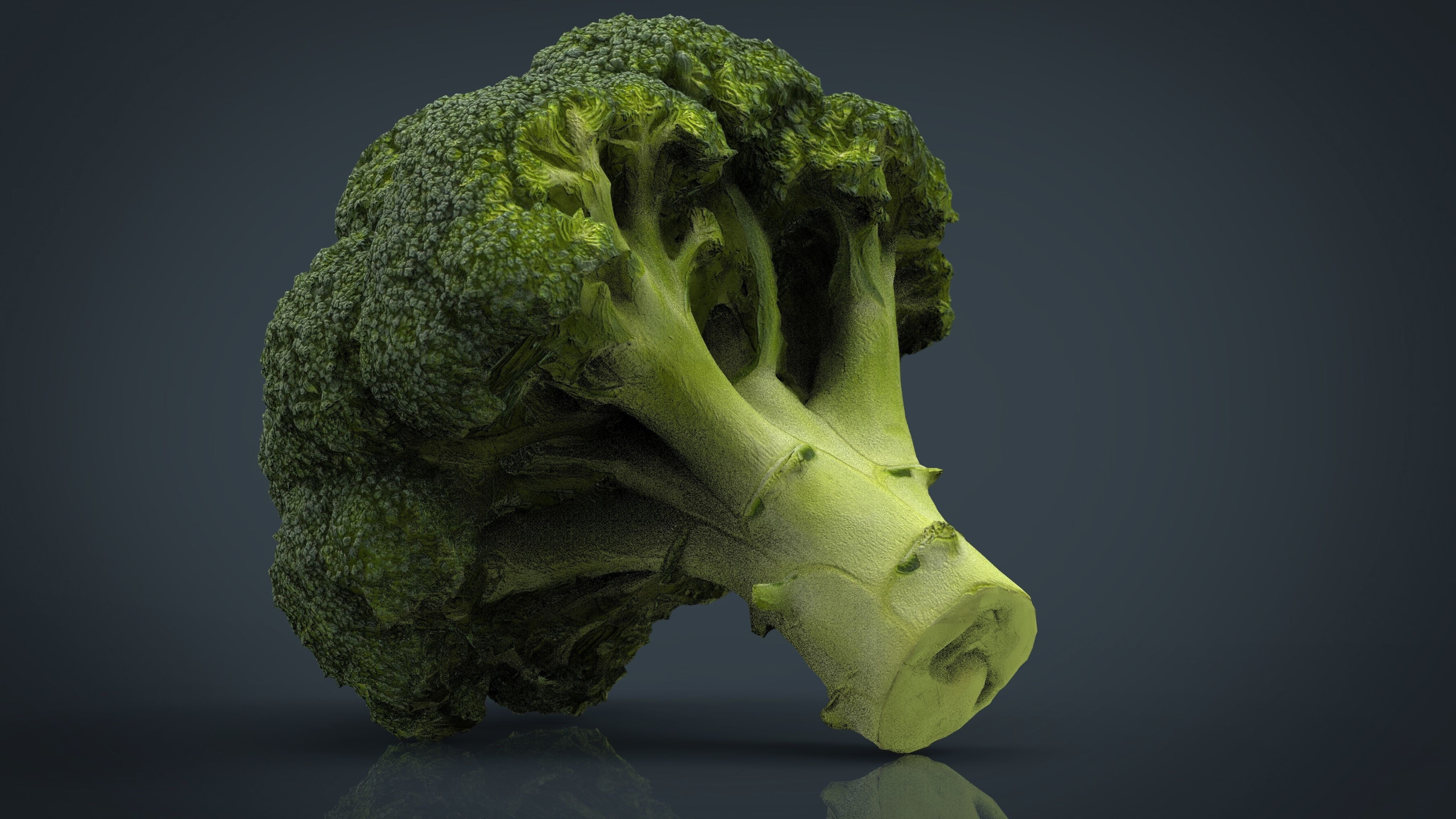 Broccoli   High and Low Poly blend 4 4 Included Low-poly 3D model_15