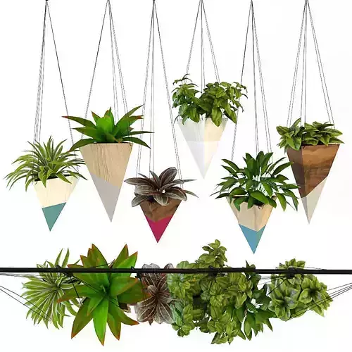 Hanging plans 3D model