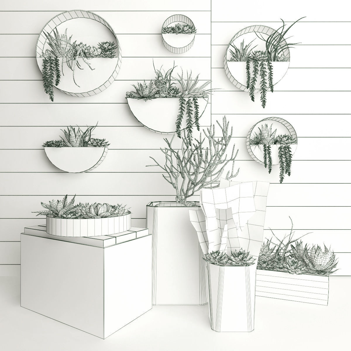 Hanging plans 2 3D model_1