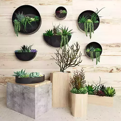 Hanging plans 2 3D model
