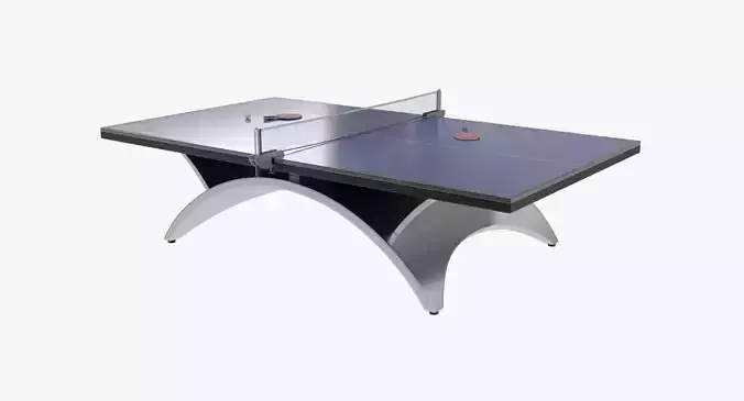 Ping Pong Table