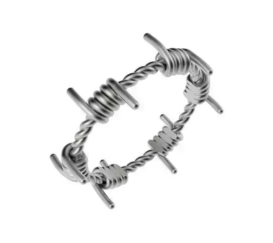 Ladies Barbed Wire Ring  3D print model