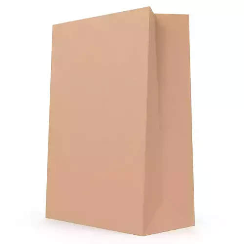 Paper Bag 2 Low-poly 3D model 2