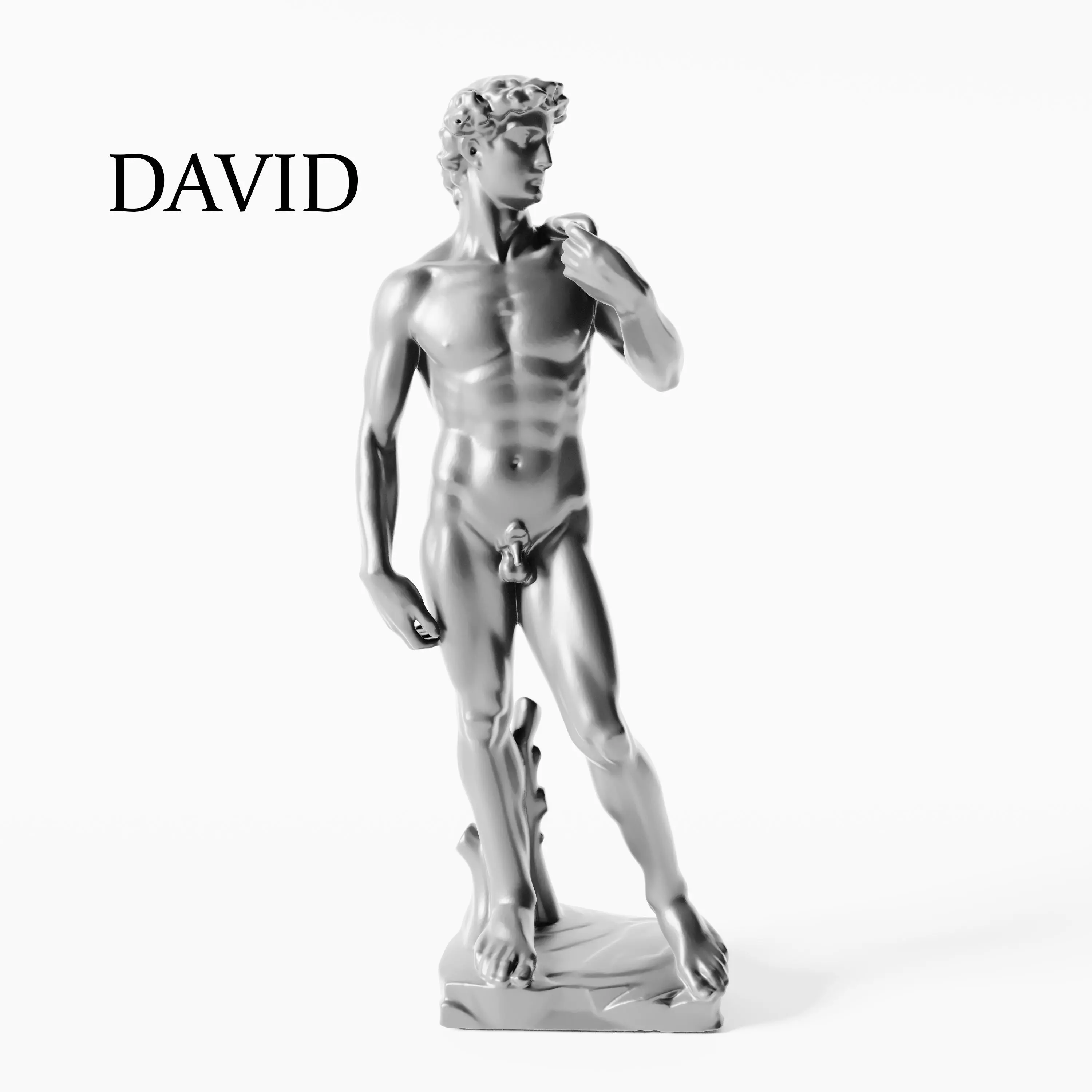 David Renaissance Sculpture 3D model