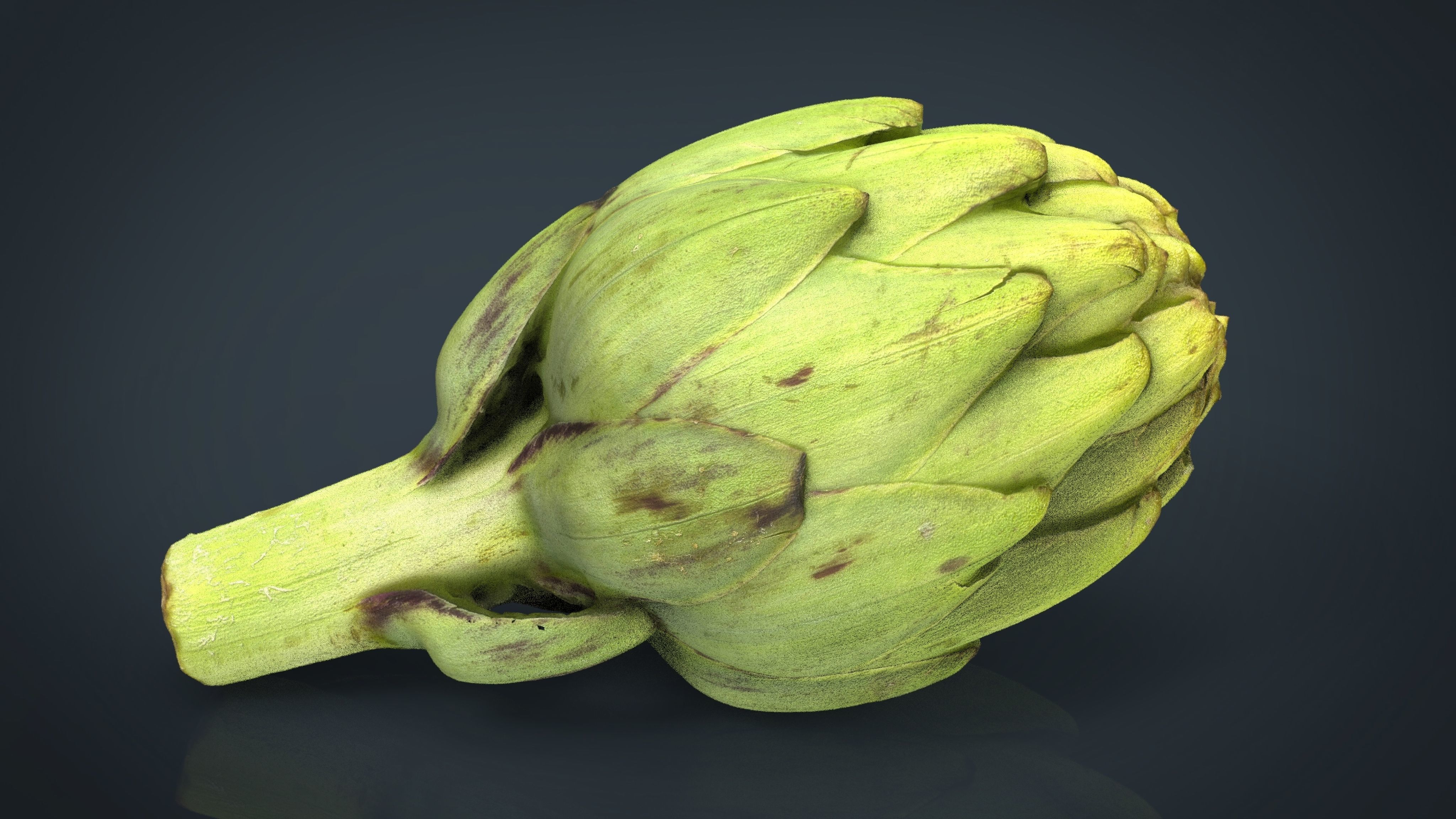Artichoke Low-poly 3D model_12