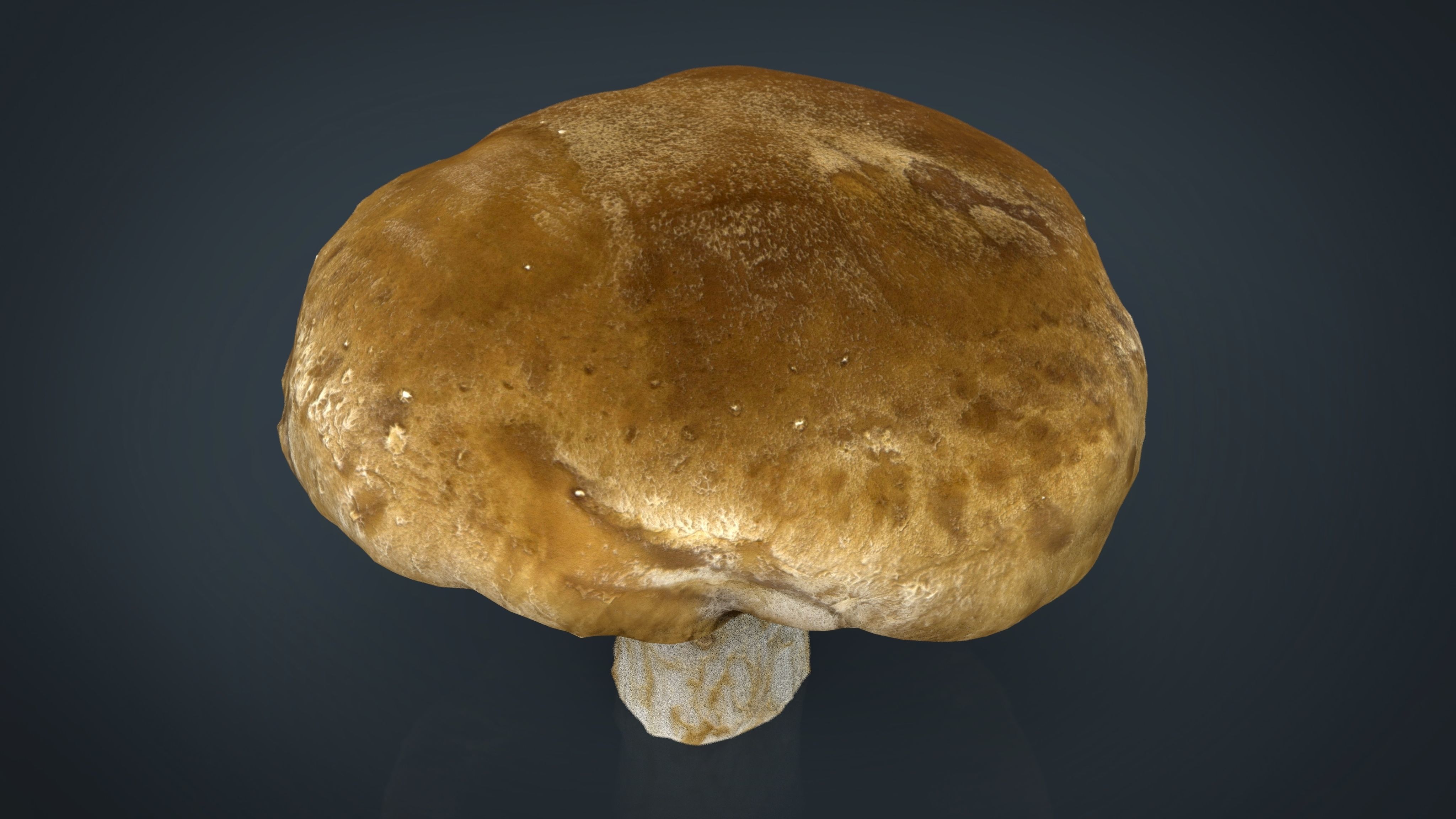 Mushroom 1 Low-poly 3D model_12