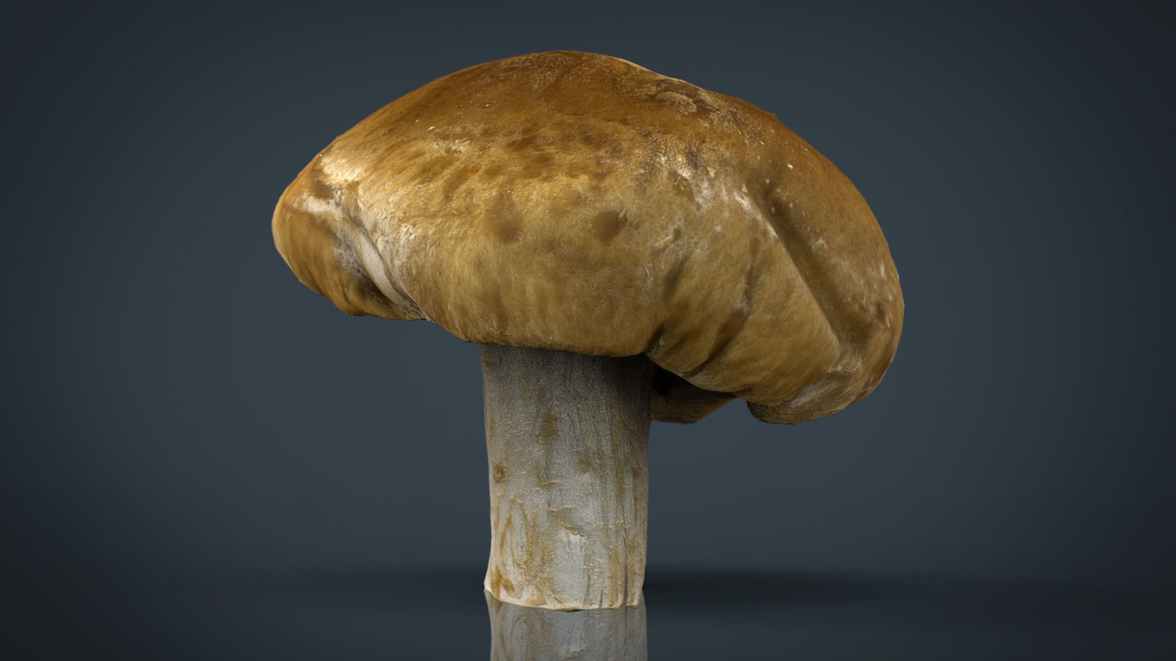 Mushroom 1 Low-poly 3D model_11