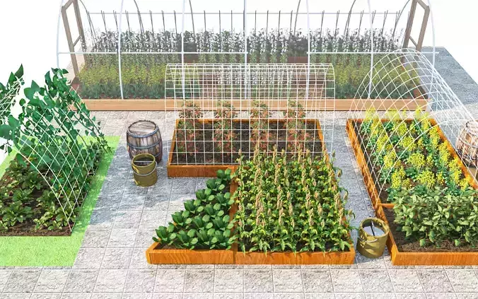 Vegetable garden Low-poly 3D model