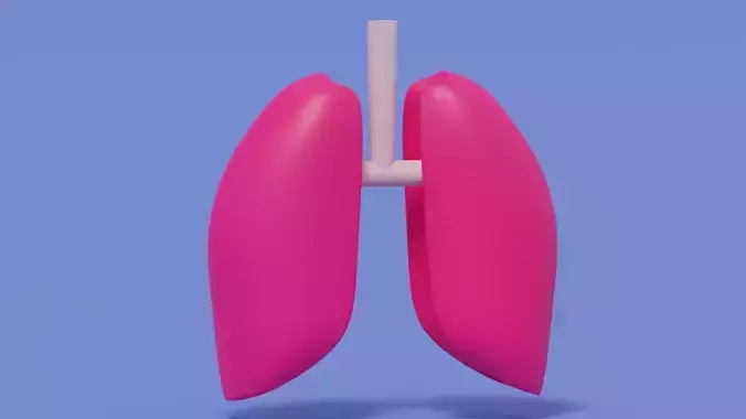 3D model Origami human lungs unfolding growing animation VR / AR / low ...