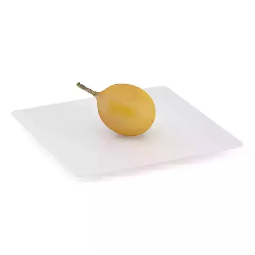 Granadilla on White Plate 3D model
