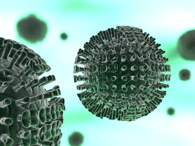 Stagional influenza virus 3D model 3D model
