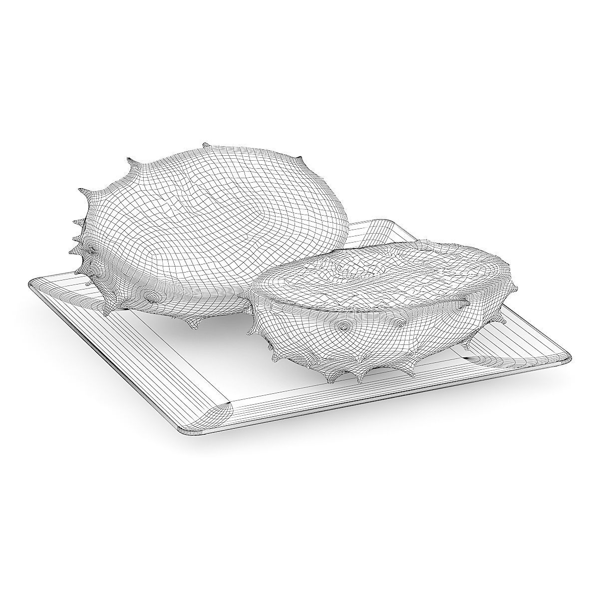 Sliced Horned Melon on White Plate 3D model_3