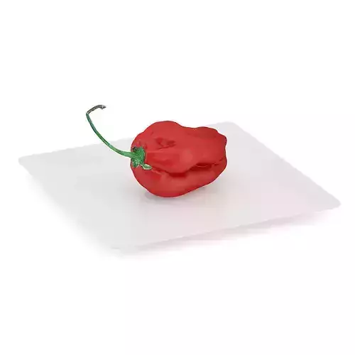 Habanero Chilli on White Plate 3D model