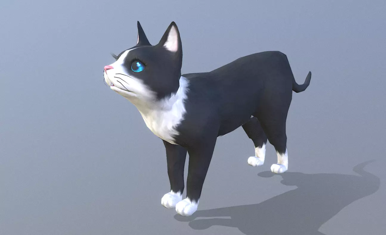 CAT CHASING SEEKING Animated 3D model