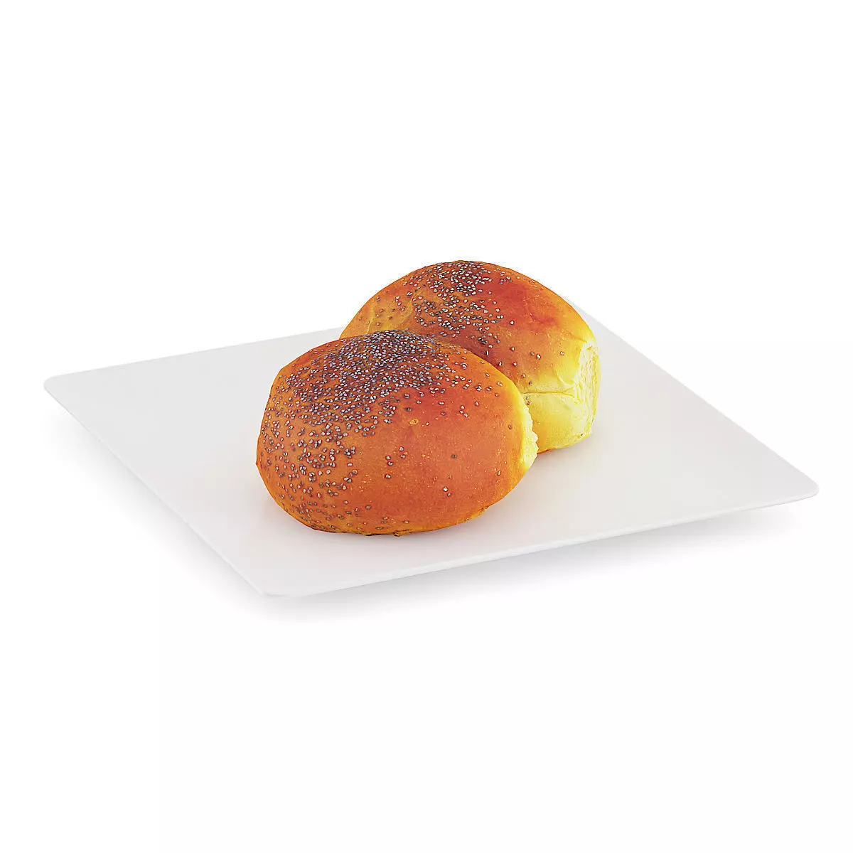 Double Bun with Poppy Seeds 3D model_0