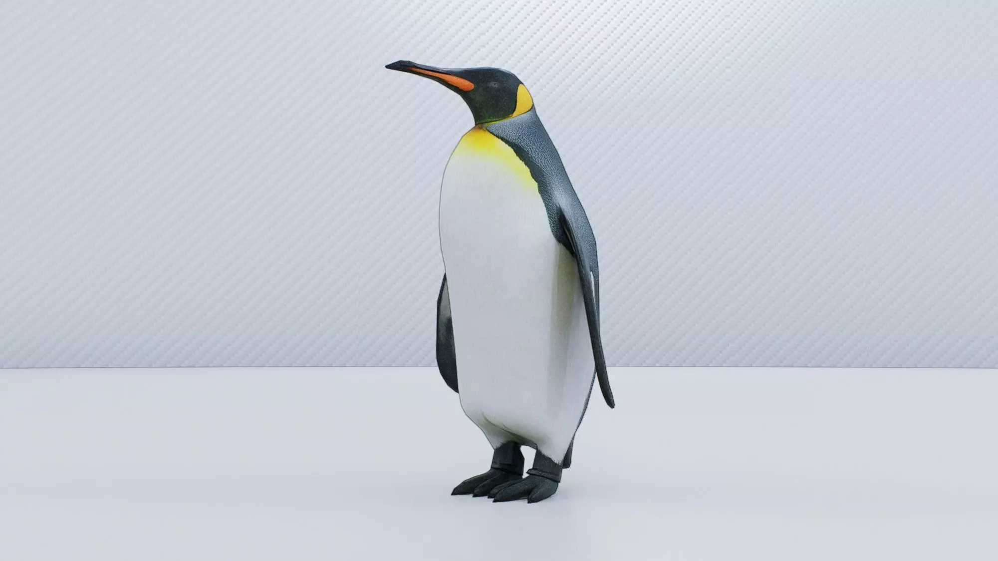 Emperor Penguin Low-poly 3D model