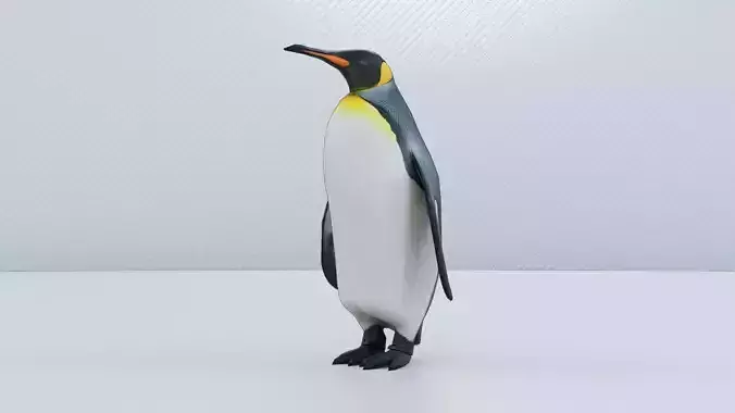 Emperor Penguin